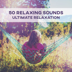 50 Relaxing Sounds: Ultimate Relaxation - Deep Meditation, Sensual Massage, Healing Touch, Beauty Wellness & Spa Background Music