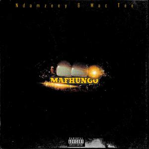 Mafhungo (feat. Ndamzeey) (Explicit)