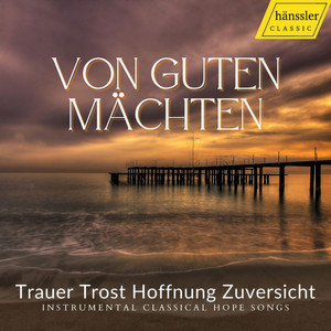 Violin Concerto No. 2 in D Minor, Op. 44 - I. Adagio ma non troppo