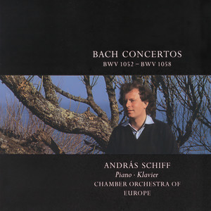 Concerto for Harpsichord, 2 Recorders, Strings, and Continuo No. 6 in F, BWV 1057 - J.S. Bach: Concerto for Harpsichord, 2 Recorders, Strings, and Continuo No. 6 in F, BWV 1057: 3. Allegro assai