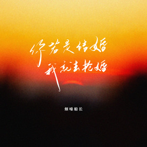 你若是结婚我就去抢婚