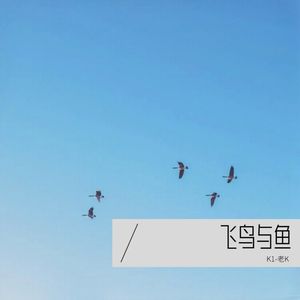 飞鸟与鱼-K1-老K-Maker