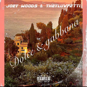 Dolce & Gabbana (feat. TheyLuvFetti) (Explicit)