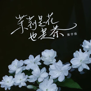 茉莉是花也是茶