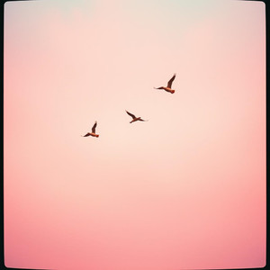 This Voice Was Born to Fly