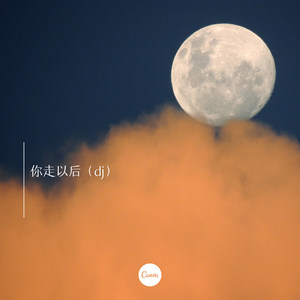 你不应该离开我 (Remix)