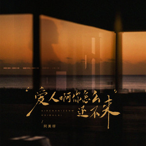 爱人啊你怎么还不来-阿美呀