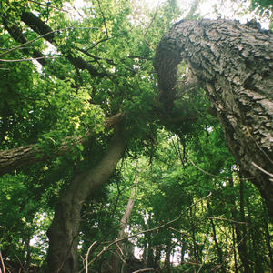 heartbeater (feat. ne0paganism)