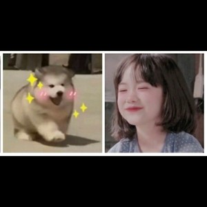 念