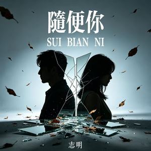 随便你 - 志明封面