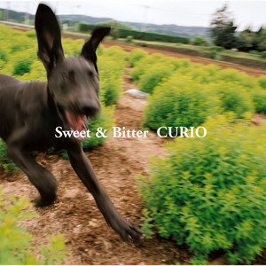 CURIO - ブランコ (Blanco)