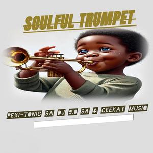 The Soulful Trumpet
