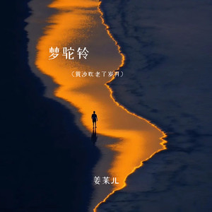 梦驼铃（黄沙吹老了岁月）