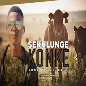 Sekulunge konke (feat. Virus Artist)