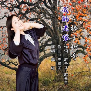 我的老家在柿子树旁