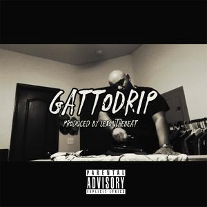 GattoDrip (Explicit)