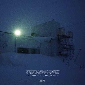不要回头看存在梦里面 (雪藏)封面