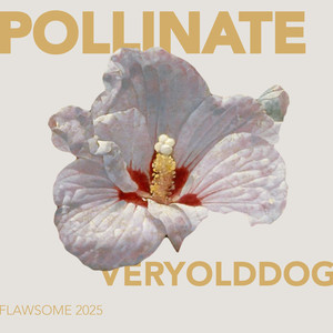pollinate