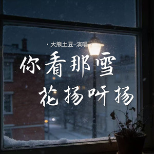 你看那雪花扬呀扬
