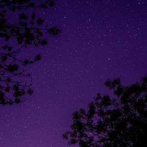 Space Dust (Explicit)