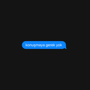 KONUŞMAYA GEREK YOK