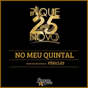 Pique Novo - No Meu Quintal (25 Anos)