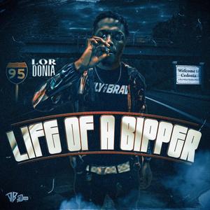 Life of A Bipper (Explicit)