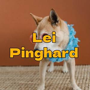 Lei Pinghard