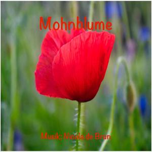 Mohnblume