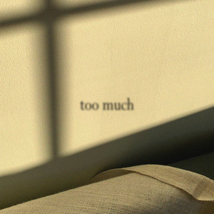 TOO MUCH