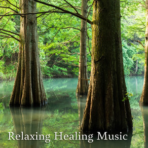 Relaxing Healing Music