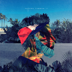 Limber De Coco(a la Poncho) (Inst.)