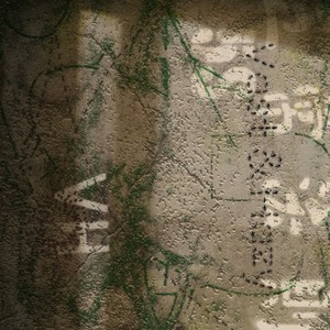 囚犯(Looper)封面