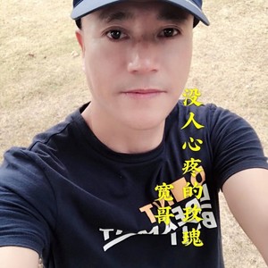 没人心疼的玫瑰