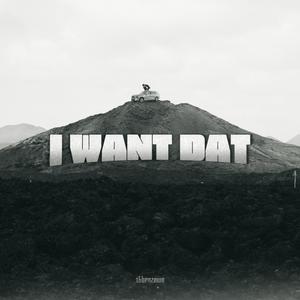 I Want Dat (Explicit)