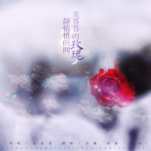 羞答答的玫瑰静悄悄地开