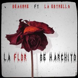 La Flor Se Marchito (feat. La Estrella)