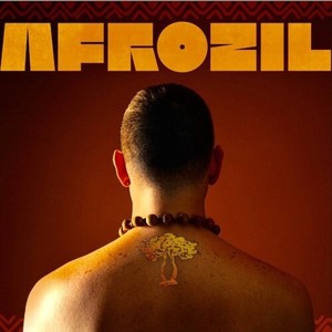 INTRO AFROZIL