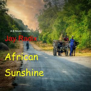 African Sunshine (feat.Jay Radix)