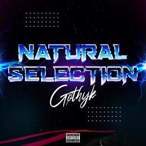 Natural Selection (Explicit)