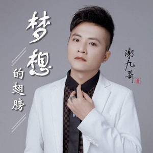 梦想的翅膀 (伴奏)封面