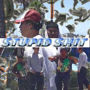 STUPID SH!T (Explicit)