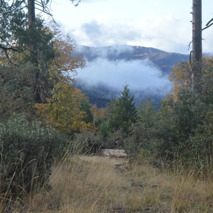 No Technician (feat. Via App)