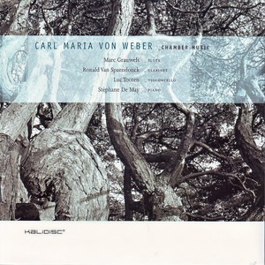 Introduction, theme and variations for clarinet and piano op. posth.