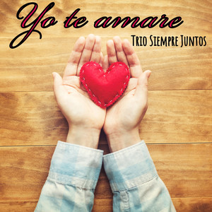 Yo Te Amare