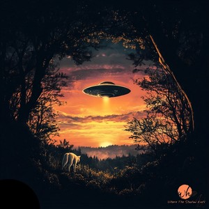 First Contact
