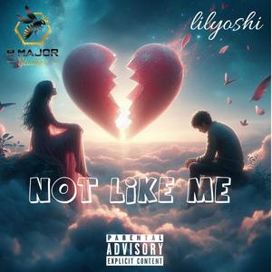 Not Like Me (Explicit)