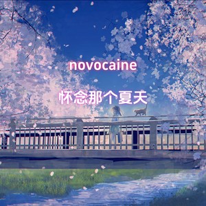 novocaine(怀念那个夏天)