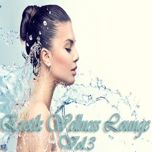 Erotik Wellness Lounge, Vol. 3 (Tantra Chill Out and Kamasutra Ambient)