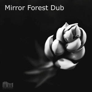 Mirror Forest Dub